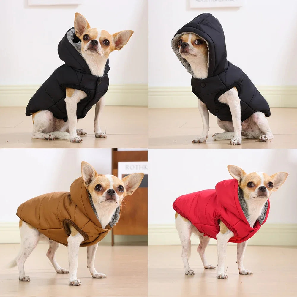 Warm Cats Hoodie Coat For Small Medium Cats Dog Winter Cozy Fleece Puppy Kitten - Maxwell shop