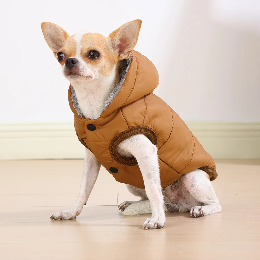 Warm Cats Hoodie Coat For Small Medium Cats Dog Winter Cozy Fleece Puppy Kitten - Maxwell shop