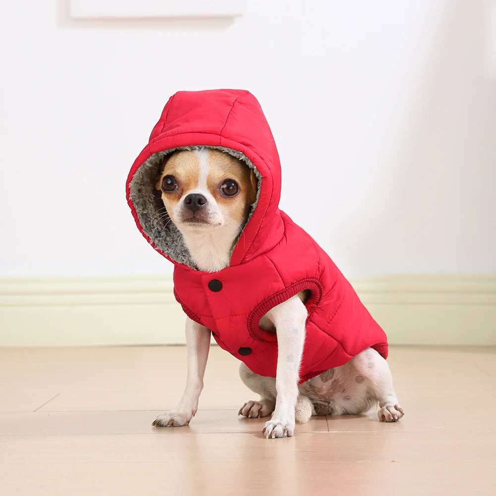 Warm Cats Hoodie Coat For Small Medium Cats Dog Winter Cozy Fleece Puppy Kitten - Maxwell shop