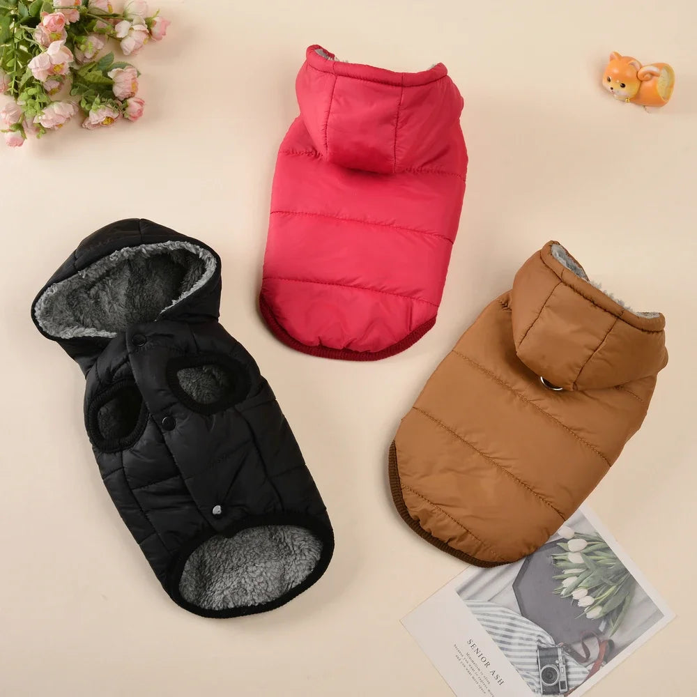 Warm Cats Hoodie Coat For Small Medium Cats Dog Winter Cozy Fleece Puppy Kitten - Maxwell shop