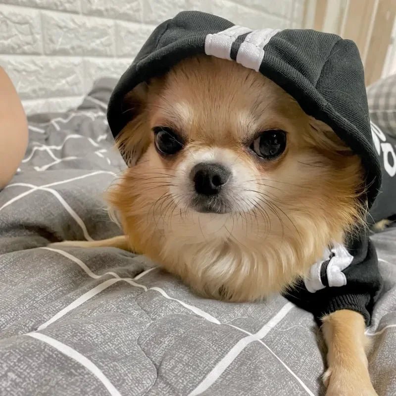 Adidog Autumn Winter Warm Dog Clothes Dog Hoodies Pet Warm - Maxwell shop