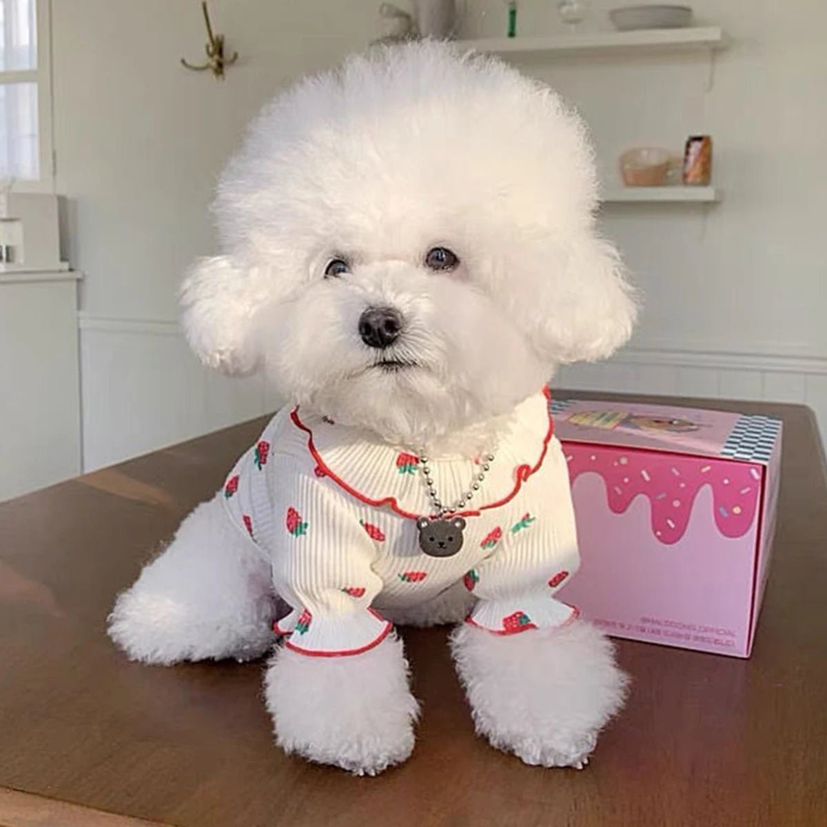Breathable Small Dog Vest Clothes Soft Winter Warm Cute Cat Clothes - Maxwell shop