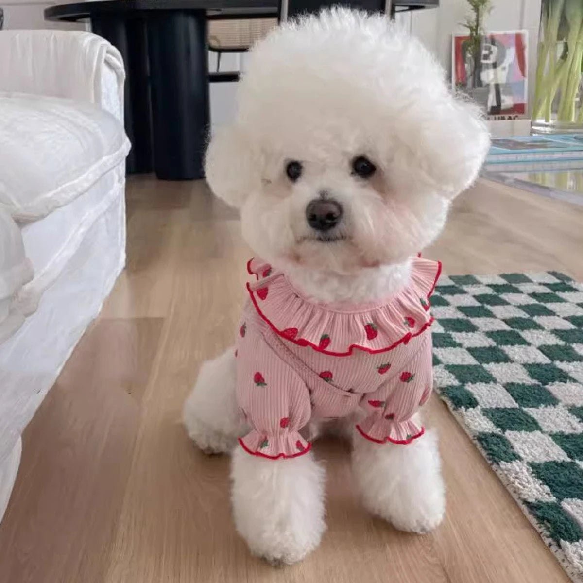Breathable Small Dog Vest Clothes Soft Winter Warm Cute Cat Clothes - Maxwell shop