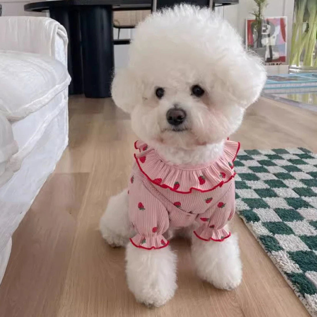 Breathable Small Dog Vest Clothes Soft Winter Warm Cute Cat Clothes - Maxwell shop