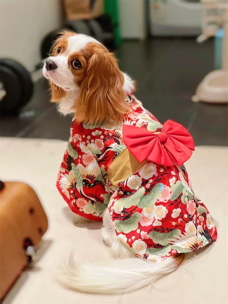 Clothes for Cat Dog Japanese Style Pet Clothing Kimono for Small Medium Dogs - Maxwell shop