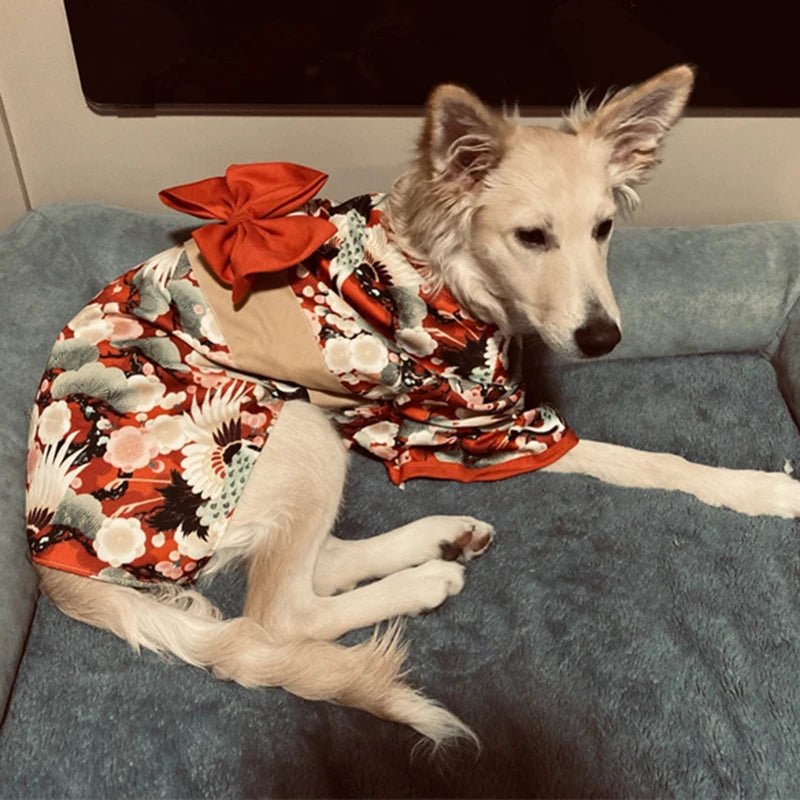 Clothes for Cat Dog Japanese Style Pet Clothing Kimono for Small Medium Dogs - Maxwell shop