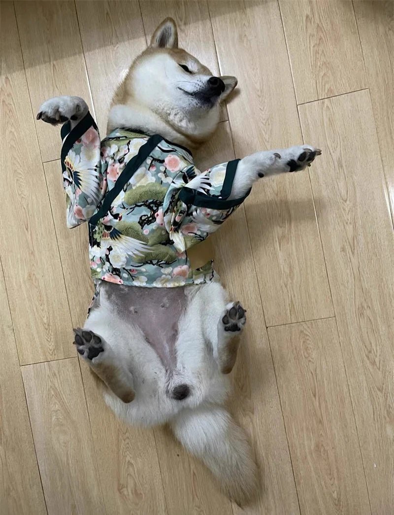 Clothes for Cat Dog Japanese Style Pet Clothing Kimono for Small Medium Dogs - Maxwell shop