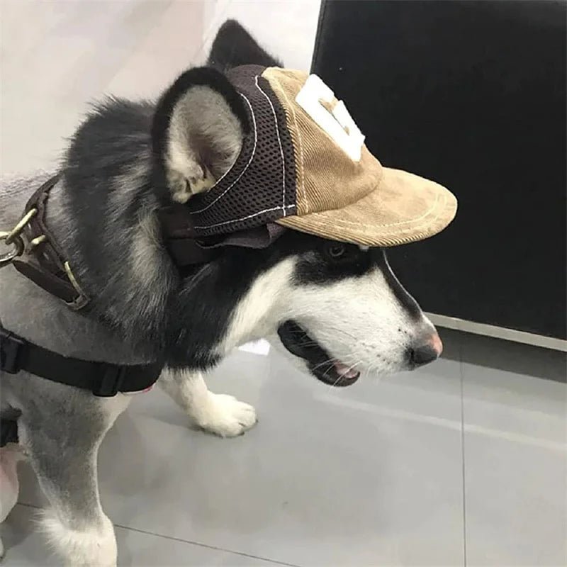 Dog Hat Dog Sunscreen Hat Baseball Cap Outdoor Sports Hat with Ear Holes - Maxwell shop