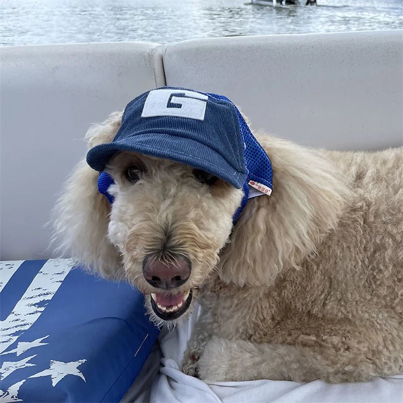 Dog Hat Dog Sunscreen Hat Baseball Cap Outdoor Sports Hat with Ear Holes - Maxwell shop