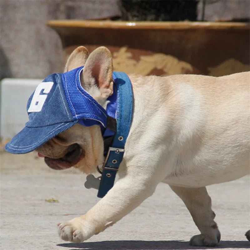 Dog Hat Dog Sunscreen Hat Baseball Cap Outdoor Sports Hat with Ear Holes - Maxwell shop