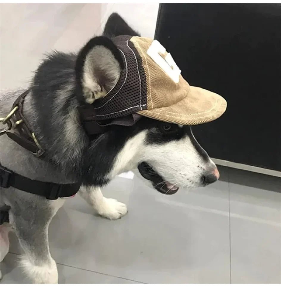Dog Hat Dog Sunscreen Hat Baseball Cap Outdoor Sports Hat with Ear Holes - Maxwell shop