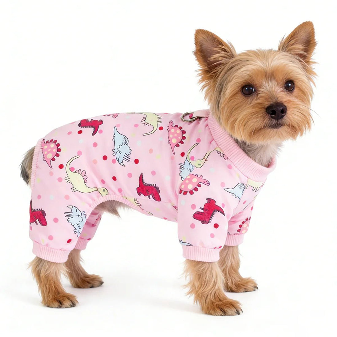 Dog Pajamas for Small Dogs Girl Boy Puppy Pjs Summer Pet Onesies - Maxwell shop