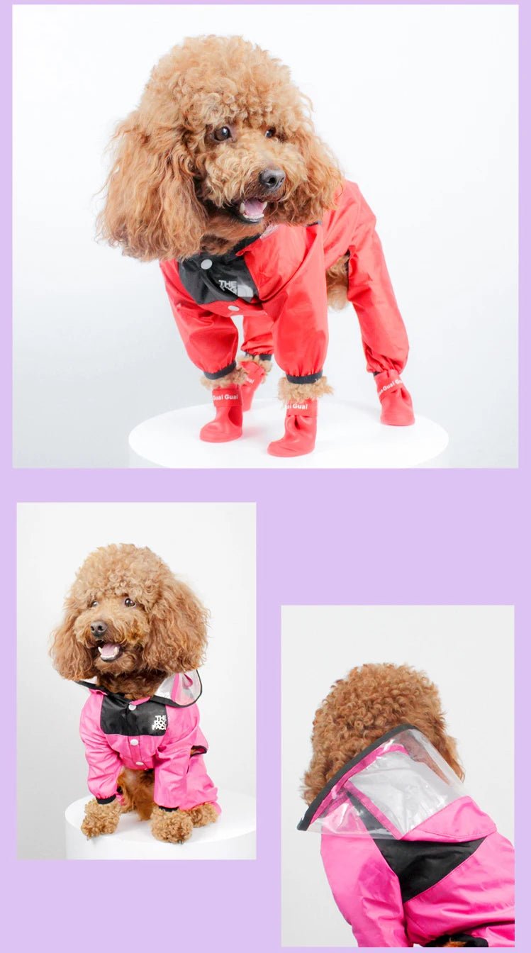 Pet Dog Raincoat The Dog Face Pet Clothes Jumpsuit Waterproof Dog Jacket Dogs - Maxwell shop