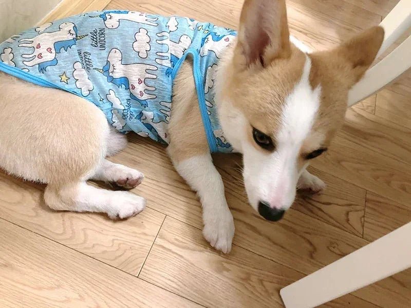 Sunscreen Clothes for Cats Summer Pet Vest Cute Print Cat Puppy Clothing Ultra-thin - Maxwell shop